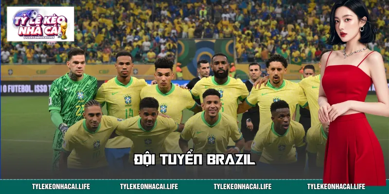 Đội Tuyển Brazil: Đội Hình Siêu Sao Khuynh Đảo World Cup 2026